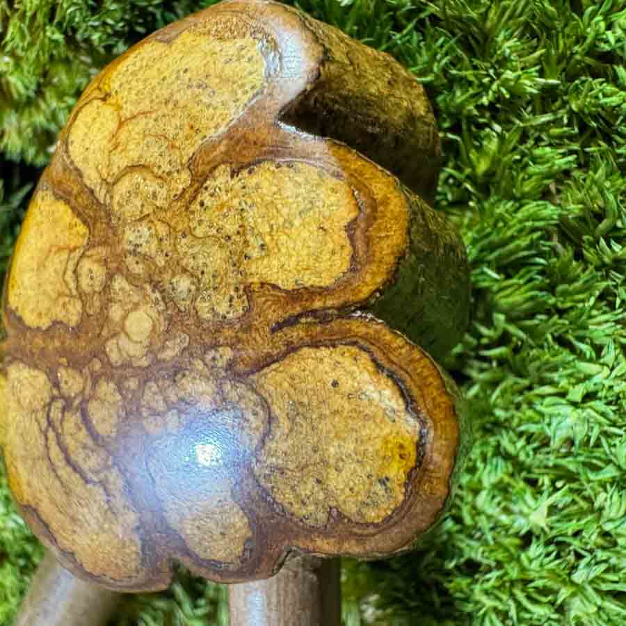 Kuripe Mariri - Obrázek 4