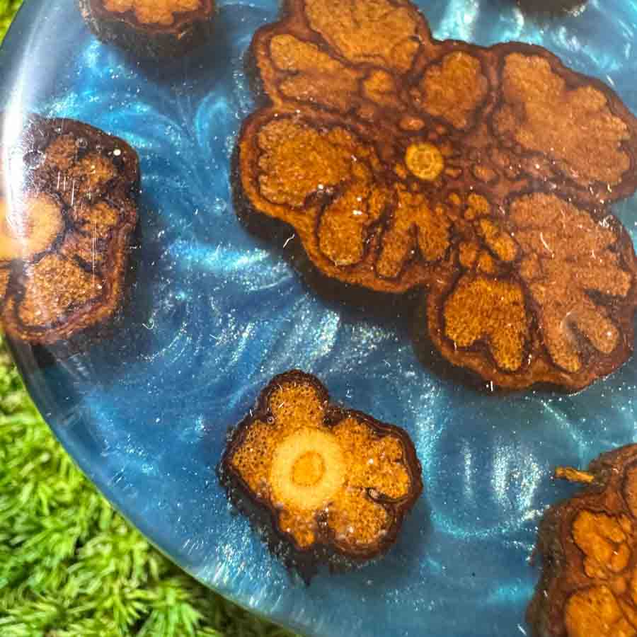 Dřevěná dóza kulatá - Marirí centro - Obrázek 10