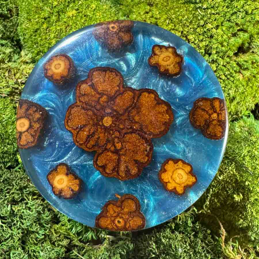 Dřevěná dóza kulatá - Marirí centro - Obrázek 11